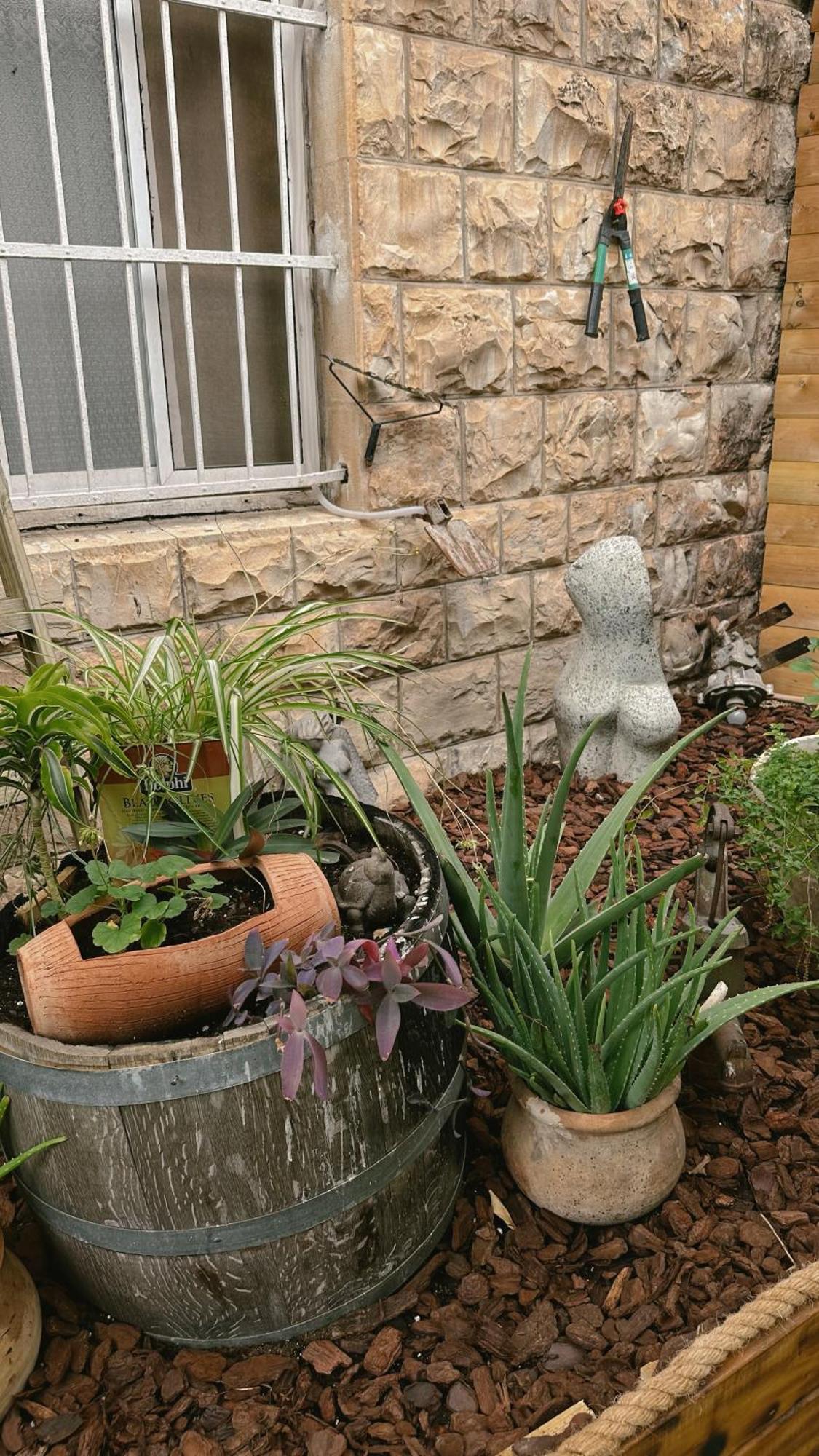 Dream House Art Hostel Garden And Terrace Haifa Exterior foto